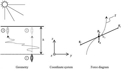 Travelling Expenses: The Energy Cost of Diel Vertical Migrations of Epipelic Microphytobenthos